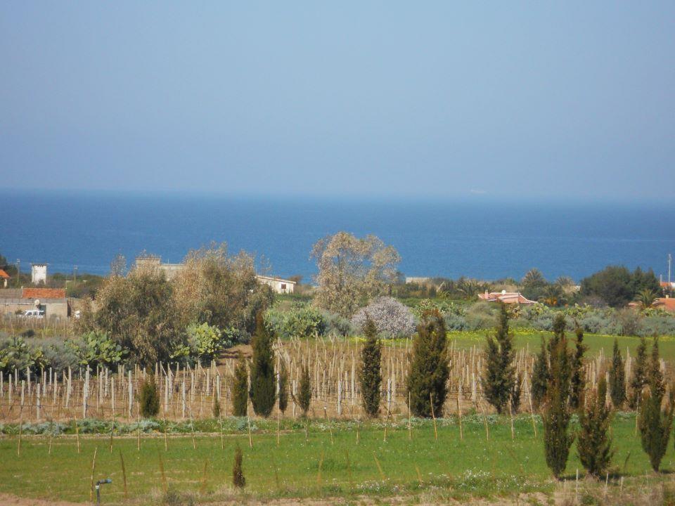Agriturismo Tres Montes Sorso Dış mekan fotoğraf