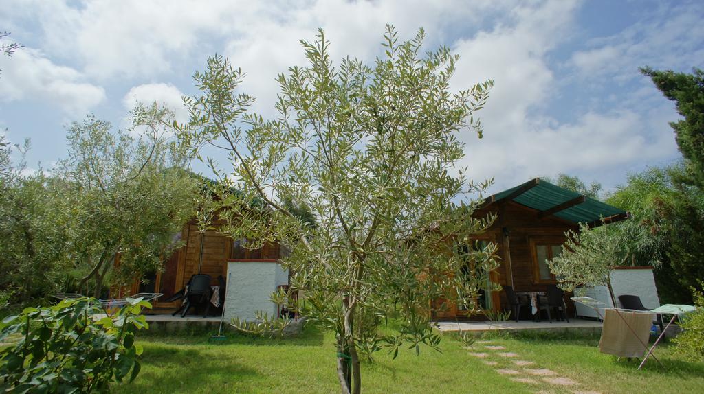 Agriturismo Tres Montes Sorso Dış mekan fotoğraf