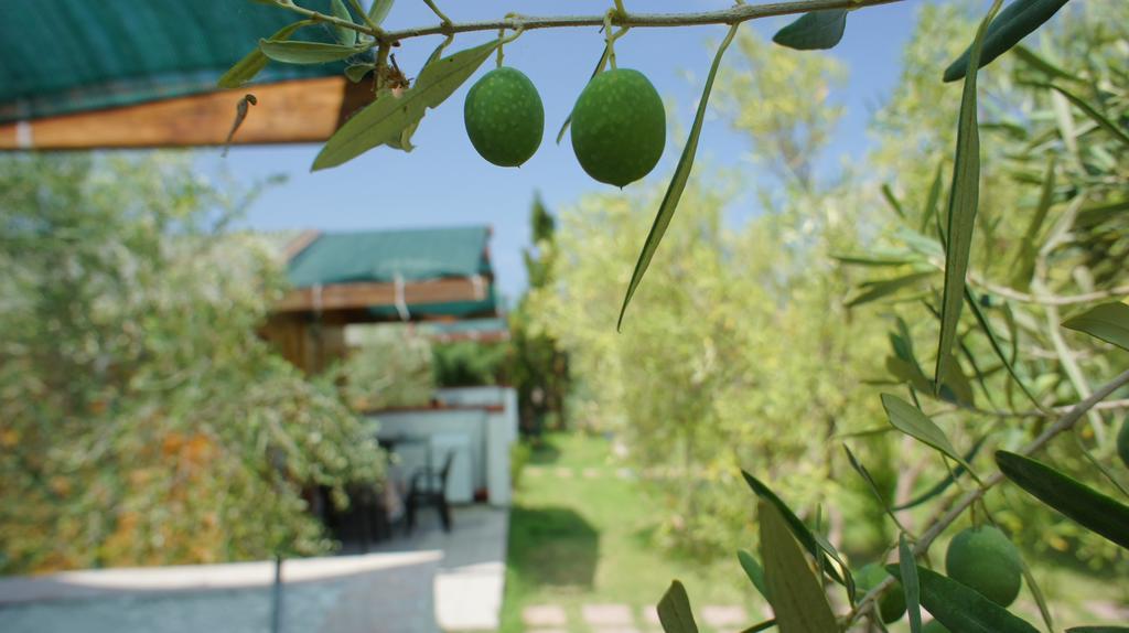 Agriturismo Tres Montes Sorso Dış mekan fotoğraf
