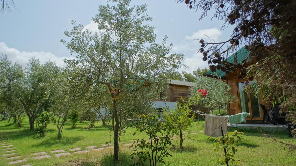 Agriturismo Tres Montes Sorso Dış mekan fotoğraf